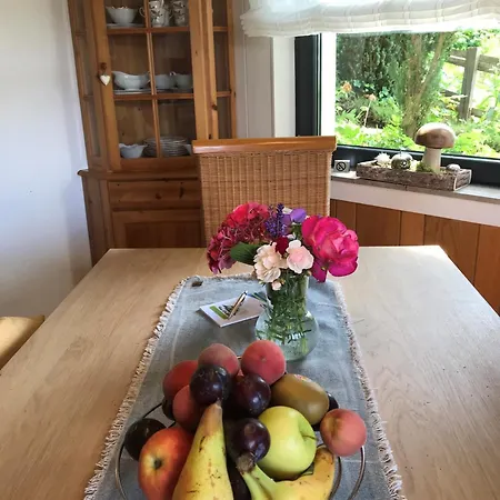 Haus Westfeld Apartamento