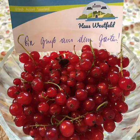 Haus Westfeld Apartamento