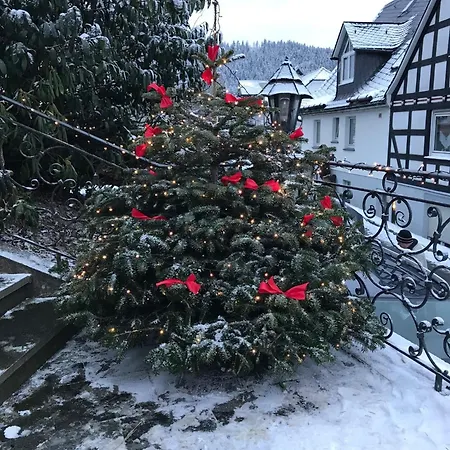 Apartamento Haus Westfeld Schmallenberg