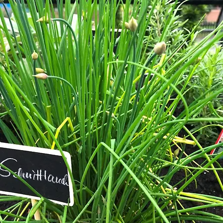 Haus Westfeld Apartamento *