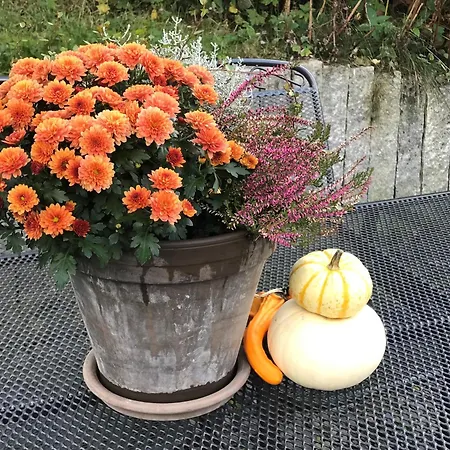 Haus Westfeld Apartamento