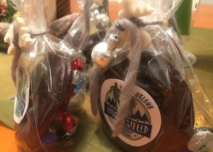 公寓 Haus Westfeld 施马伦贝格