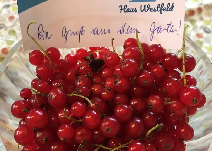 Haus Westfeld 公寓