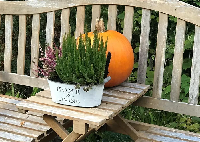 Haus Westfeld 公寓 施马伦贝格