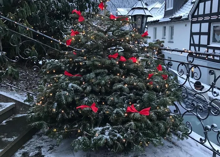 公寓 Haus Westfeld 施马伦贝格