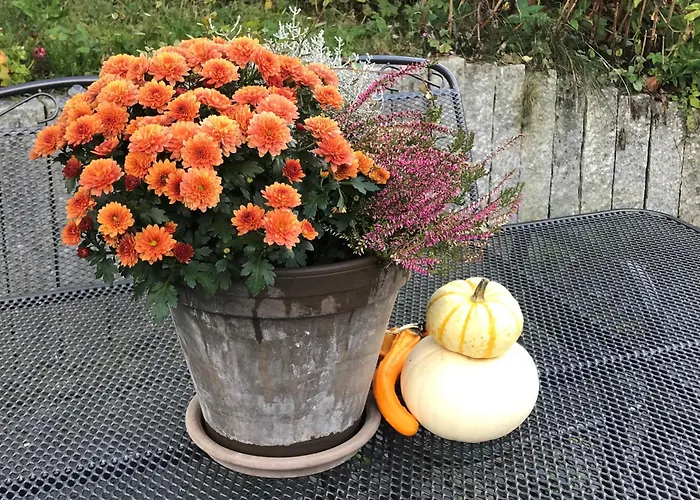 Haus Westfeld 公寓